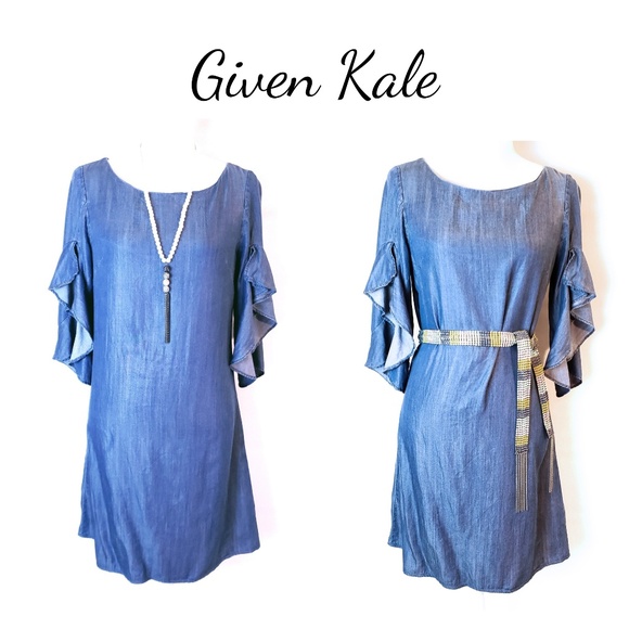 given kale denim dress